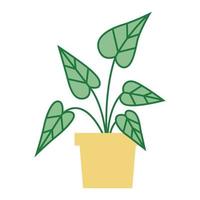 Plant in a Pot vector