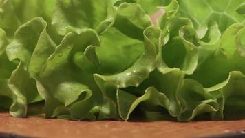 frischer grüner salat, petersilie und dill auf dem tisch in der küche. video