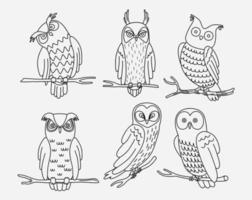 cartoon big set of cute doodle owl.