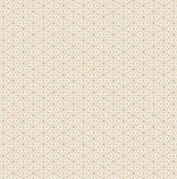 Abstract texture background vector