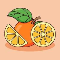 conjunto de naranja y naranja en rodajas con ilustración de estilo de dibujos animados vector