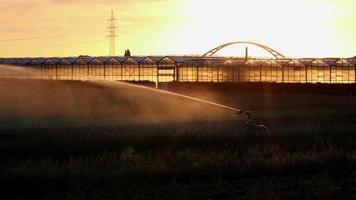 jordbruks bevattning systemet är behövs på grund av till varm sommar och torka orsakade förbi klimat förändra hotar lantbruk och jordbruk industri med torr väder och Nej regn blåsa upp beskära priser skörda video