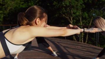 grupo de mujeres entrenamiento fitness al aire libre video