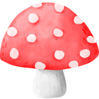 Gnome mushroom watercolor png