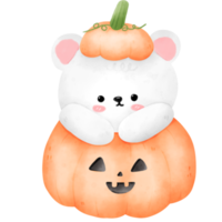 ours dans la citrouille d'halloween png