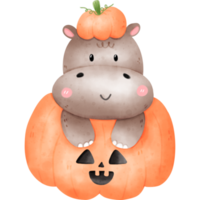 hippopotame dans la citrouille d'halloween png