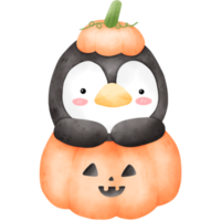 pinguïn in halloween pompoen png