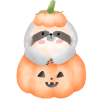 preguiça na abóbora de halloween png