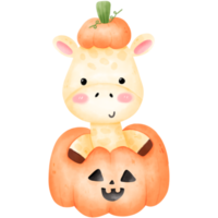 Giraffe in Halloween pumpkin png
