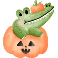 Crocodile in pumpkin png