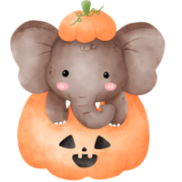 Elephant in Halloween pumpkin png