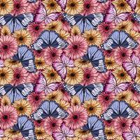 Seamless pattern with gerbera flowers and butterflies vector