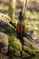 Serum glass bottle with dropper on moss and tree bark natural background. Natural organic Spa cosmetic concept. photo