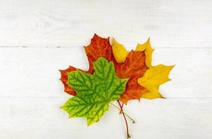 Autumn bouquet of dry maple leaves on wooden background. photo