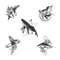 conjunto de pegatinas de tema de ballena de tatuaje minimalista vector