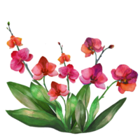 flor de orquídea con hojas png