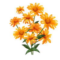 bouquet de fleurs gerbera, illustration