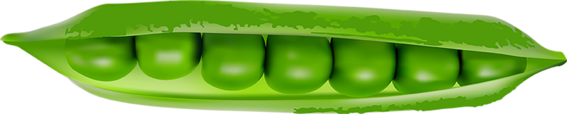 Green Pod of Ripe Peas cut out png