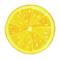 rodaja de naranja, dibujada a mano en acuarela. elemento aislado sobre un fondo transparente para impresión y diseño. jugosa fruta colorida para decorar png