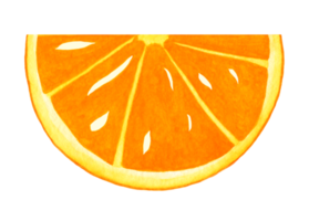 Orange slice, hand drawn in watercolor. Isolated element on a transparent background for print and design. Juicy fruit colorful for decor png