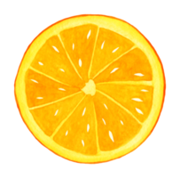 Orangenscheibe, handgezeichnet in Aquarell. isoliertes Element auf transparentem Hintergrund für Druck und Design. saftige früchte bunt für dekor png