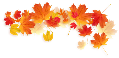 chute des feuilles d'automne png