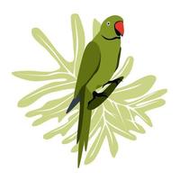 Tropical hand drawn colorful parrott with leaf background. Necklace parrot green plums red beak. Vector illustration isolated on white background.