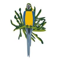 Parrot ara colorido dibujado a mano tropical con fondo de hoja. loro guacamayo ilustración vectorial aislado sobre fondo blanco. vector