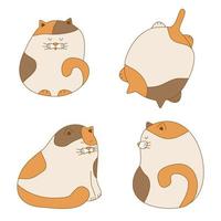 Funny plumpy cats set. Vector illustration of cute hand drawn cats lie and sit front and back view. Kitty mascote isolated on white for card children design
