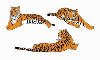 Set of color tigers simple chinese tiger design vector illustration isolated on white background