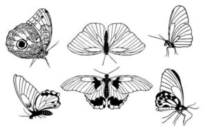 conjunto de mariposas de contorno negro dibujadas a mano sobre fondo blanco. vista frontal y lateral. boceto minimalista de mariposa para tatuaje, tarjeta, ilustración de vector de logotipo