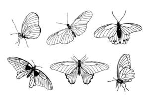 conjunto de mariposas de contorno negro dibujadas a mano sobre fondo blanco. vista frontal y lateral. boceto minimalista de mariposa para tatuaje, tarjeta, ilustración de vector de logotipo