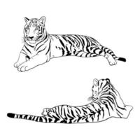 Two tigers black silhouettes on white background chinese tiger simple realistic sketch hand ink drawing vector illustration for new year design