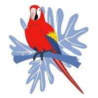 Tropical hand drawn colorful ara parrott with leaf background. Macaw parrot. Vector illustration isolated on white background.