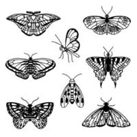 conjunto de mariposas de contorno negro dibujadas a mano sobre fondo blanco. vista frontal y lateral. boceto minimalista de mariposa para tatuaje, tarjeta, ilustración de vector de logotipo