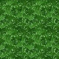 Green tropical foliage seamless pattern with exotic philodedron xanadu leaves. Vector illustration.