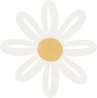 akvarell vit blomma png