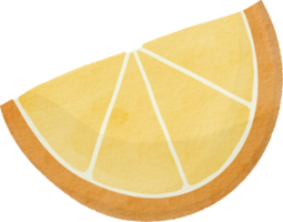 Watercolor orange slice png