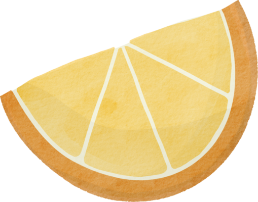 Orange Slice PNGs for Free Download