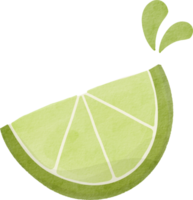 Watercolor lime slice png