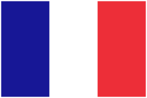 bandera francesa de francia png