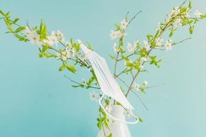 flor de cerezo en flor de primavera y máscara de medicina en una rama. concepto de alergia a la floración primaveral. foto