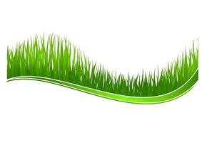 Fresh grass background vector