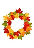 Autumn leaves background vector