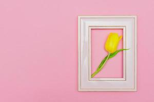 Beautiful composition with spring flowers. Photo frame, yellow tulip on pastel pink background