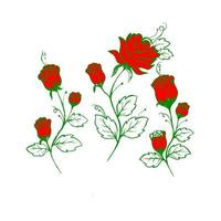 Rose flower bud drawing and sketching with line-art on a white background. vector