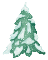 Watercolor illustration of a spruce in the snow png