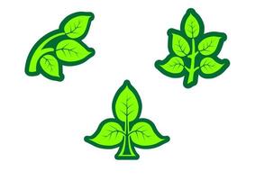 Isolated green leaves icons and symbols vector