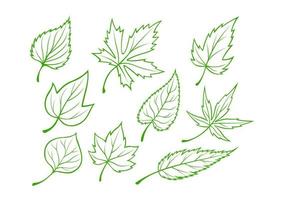 Green leaves set vector