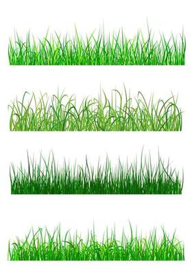 Field and meadow grass patterns
